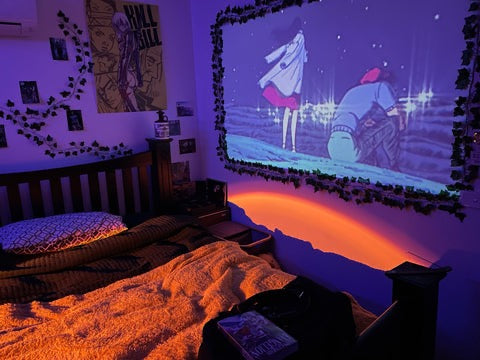Roam MiniProjector™️