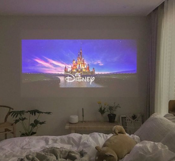 Roam MiniProjector™️